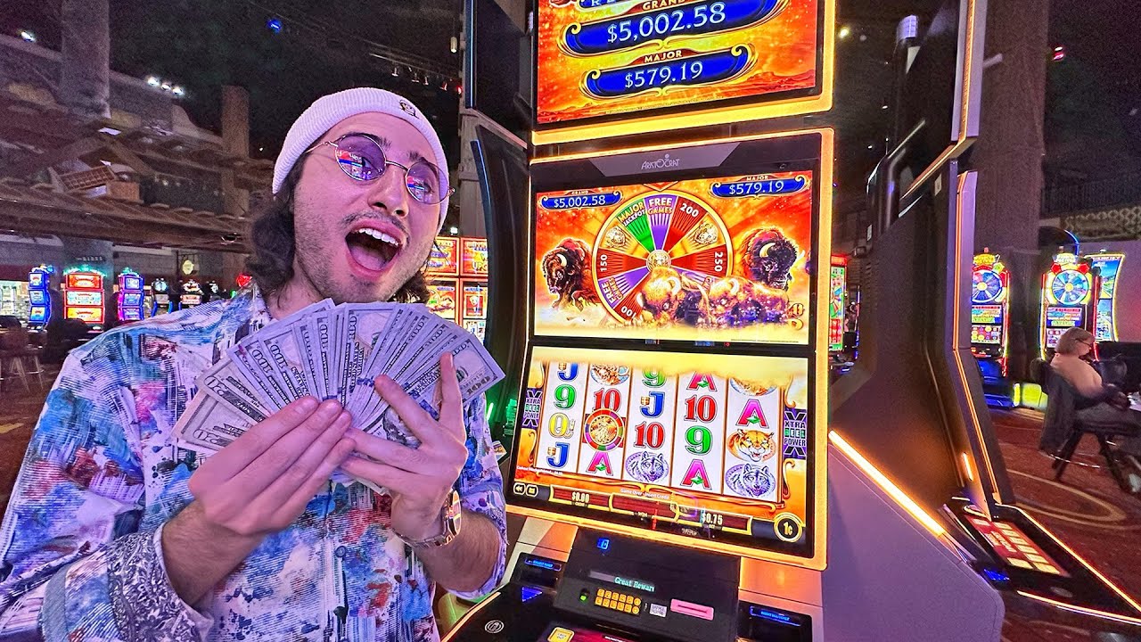 Tortuga Casino casino avec Trustly