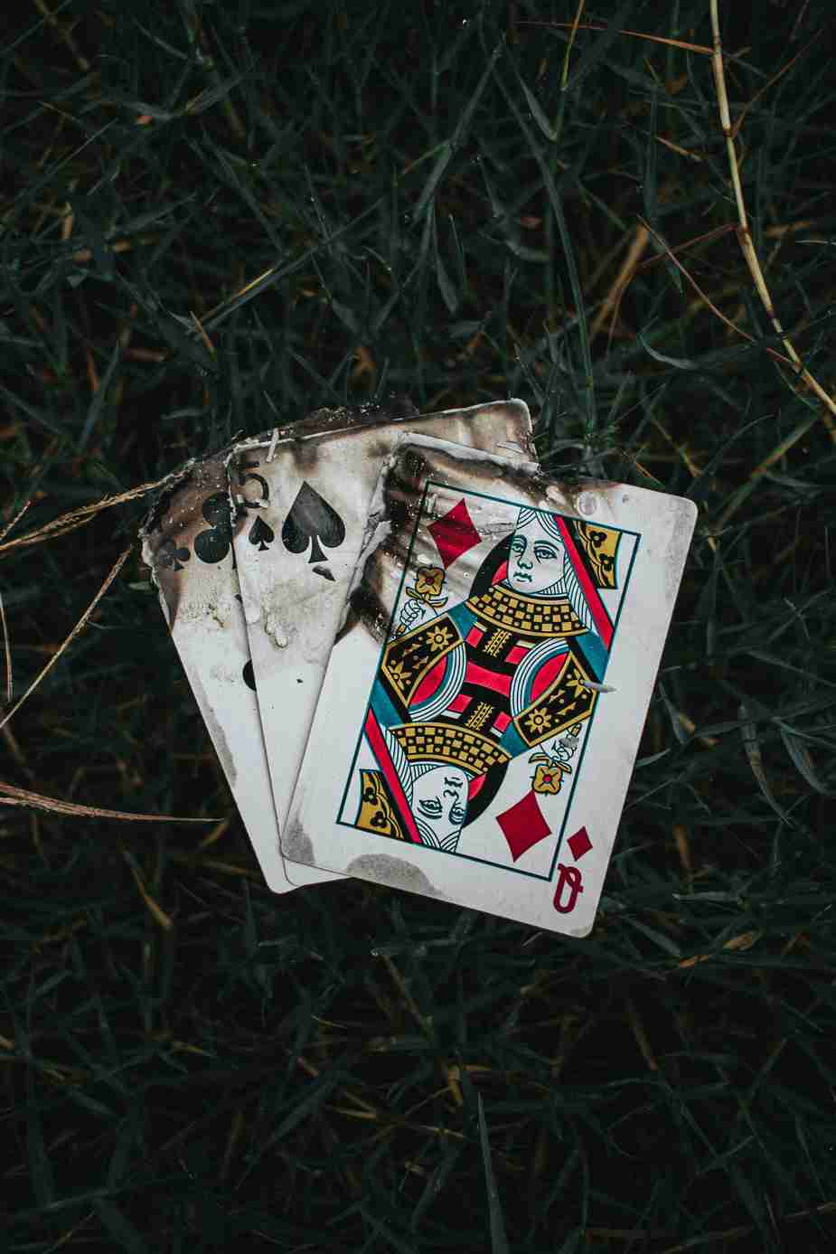 https://fatbosscasinos.org/